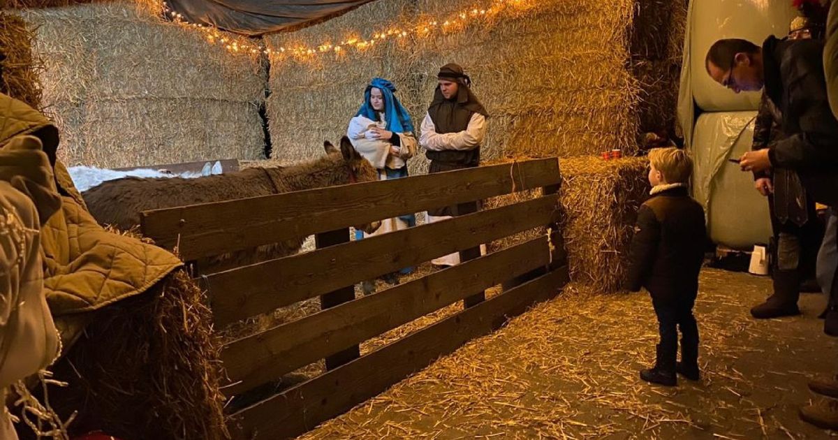 Dit is er in de kerstvakantie te doen in Groningen