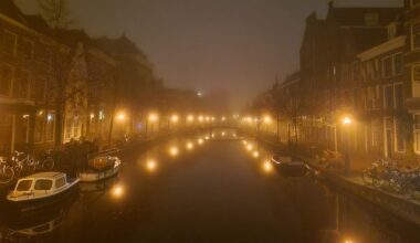 Waarschuwing voor dichte mist, zicht minder dan 200 meter - Omroep West