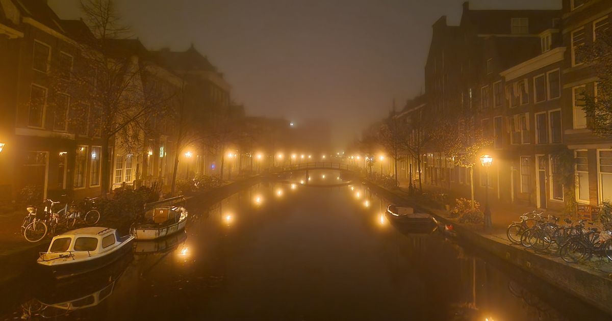 Waarschuwing voor dichte mist, zicht minder dan 200 meter - Omroep West
