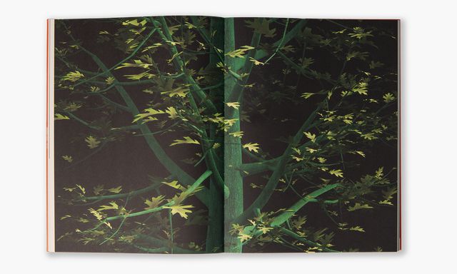 Daans Paans maakte de computergegeneerde ‘Oak Tree 2472’; een voorspelling van hoe wij over 450 jaar een eik zullen afbeelden. In  ‘Floating Signifiers. Case studies on image, origin and representation’.