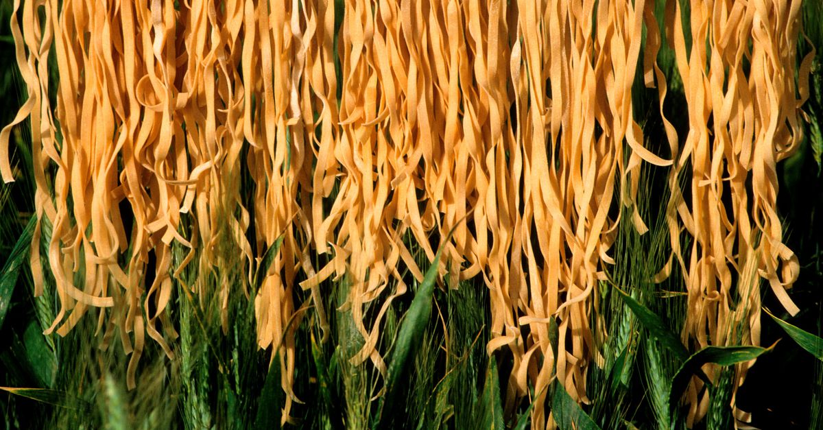 Unesco erkent Italiaanse keuken als immaterieel cultureel erfgoed