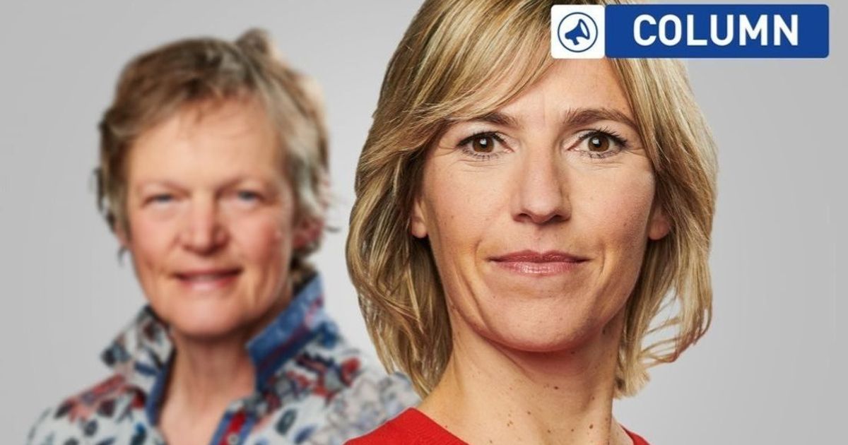 Column: 2025 - RTV Noord