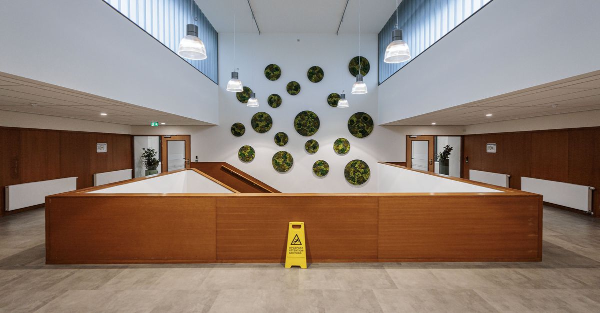 IND waarschuwt: Europese terugkeerregels zijn deels onuitvoerbaar