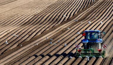 Aantal landbouwbedrijven daalt tot onder de 50.000
