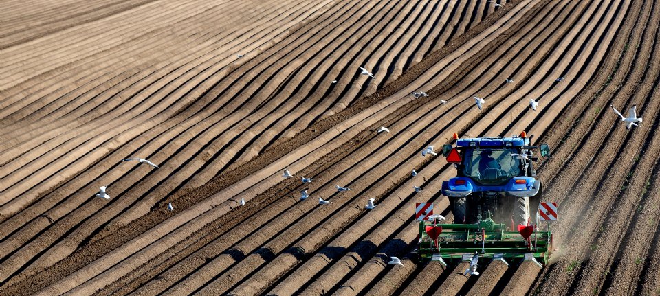Aantal landbouwbedrijven daalt tot onder de 50.000