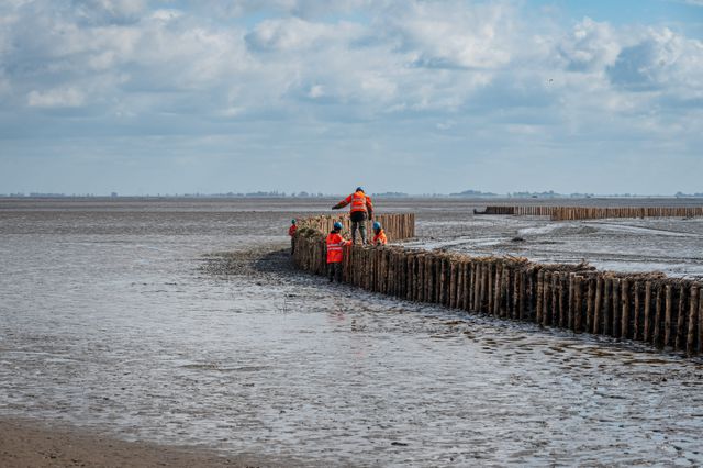 Over een lengte van tweeënhalve kilometer zijn de afgelopen maanden 22 kleine rijshouten dammen gebouwd.