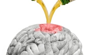 Welingelichte Kringen - Nieuws van overal: minder lezen, meer weten