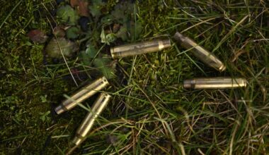 Duizenden stuks munitie Duits leger gestolen