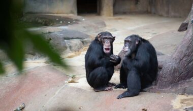 Welingelichte Kringen - Nieuws van overal: minder lezen, meer weten
