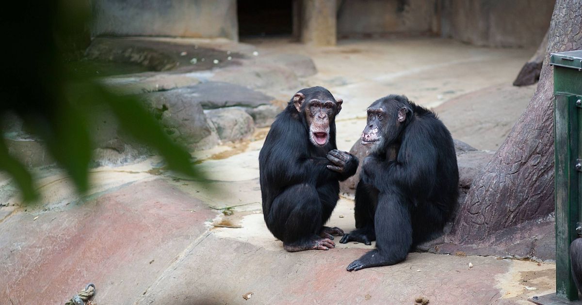 Welingelichte Kringen - Nieuws van overal: minder lezen, meer weten