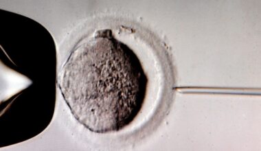 Kamermeerderheid in zicht voor kweken van embryo's voor onderzoek