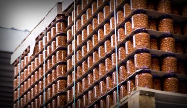 Nieuwe richtlijnen van Gezondheidsraad: minder biefstuk, meer peulvruchten