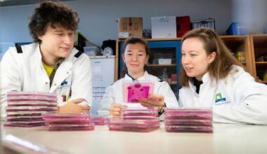 Gevaarlijke schimmel groeit waar afvalhopen blijven liggen