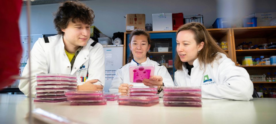 Gevaarlijke schimmel groeit waar afvalhopen blijven liggen