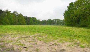 Nuenen stuurt per ongeluk adressen bezwaarmakers azc naar inwoners