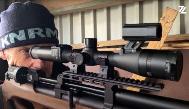 800 ratten gedood, maar Terschelling is nog lang niet van zijn plaagdier af