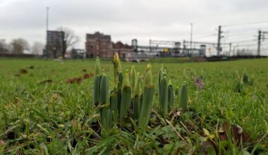 Zachte lucht wint terrein, vanavond nog 14 graden in Zeeland
