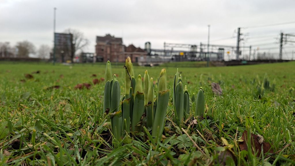 Zachte lucht wint terrein, vanavond nog 14 graden in Zeeland