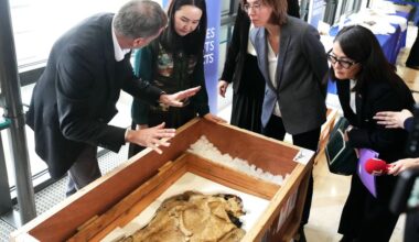 Frankrijk geeft gesmokkeld dinosauriërskelet terug aan Mongolië