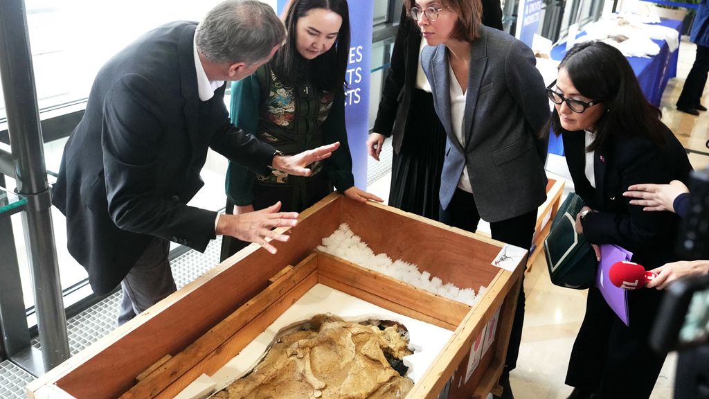 Frankrijk geeft gesmokkeld dinosauriërskelet terug aan Mongolië