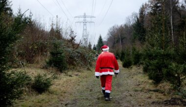 Ruim 14 graden in december, door klimaatverandering steeds normaler