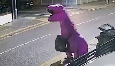 Man dumpt afval in dinopak om boete te ontwijken