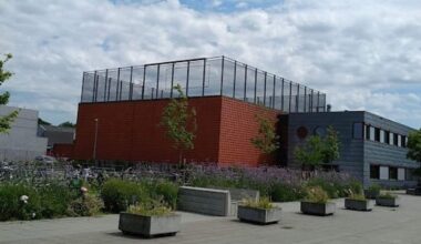 Docent Vrije School Maastricht ontslagen na seksueel getint filmpje