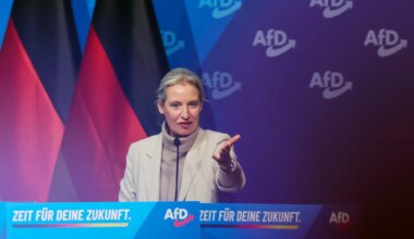 AfD zoekt toenadering tot Trumps Republikeinen: delegatie reist naar de VS - Joop