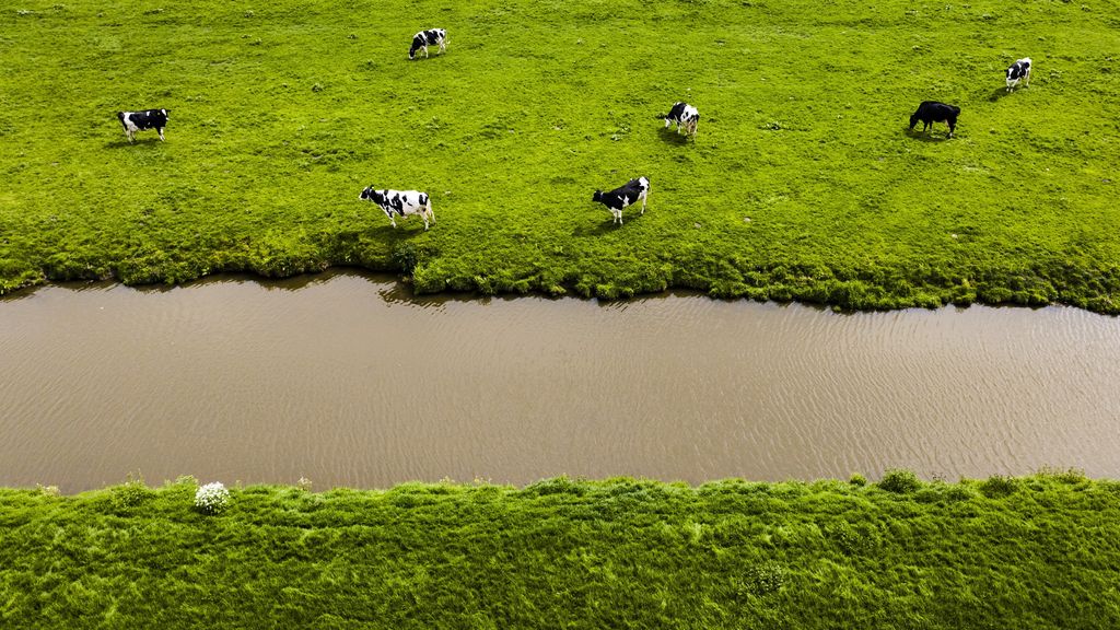 Knallende ruzie in kabinet om mestplan, BBB-minister door eigen partij onder druk gezet
