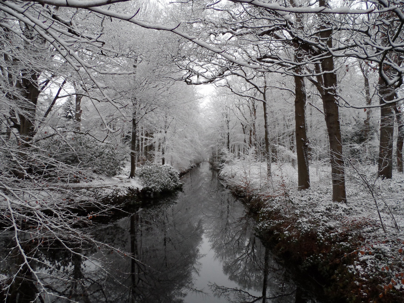 30-Daagse (+): gaat de winter dan toch toeslaan?