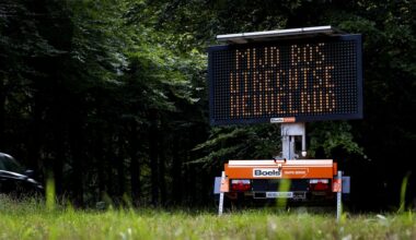 'Opluchting' na dood wolf Bram; wandelaars en fietsers kunnen bos weer in