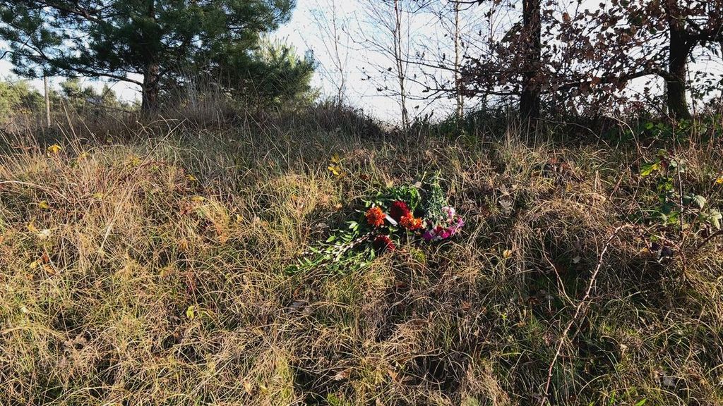 Rotterdams museum wil wolf Bram in collectie 'Dode dieren met een verhaal'