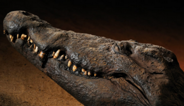 Welingelichte Kringen - Nieuws van overal: minder lezen, meer weten