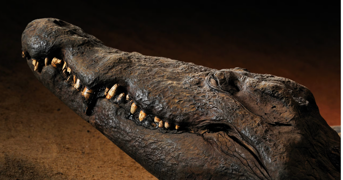 Welingelichte Kringen - Nieuws van overal: minder lezen, meer weten