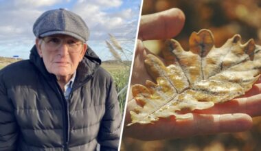 Man krijgt boete omdat hij een blaadje uitspuugde dat in zijn mond waaide