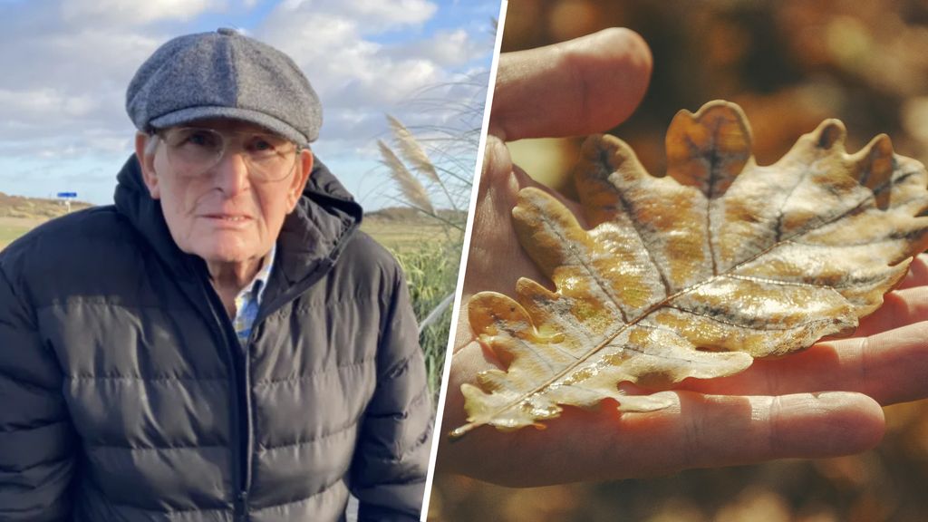 Man krijgt boete omdat hij een blaadje uitspuugde dat in zijn mond waaide