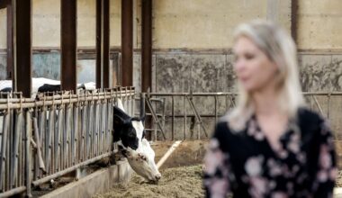 Kamer debatteert over mestplannen Wiersma (en de ruzie in het kabinet)