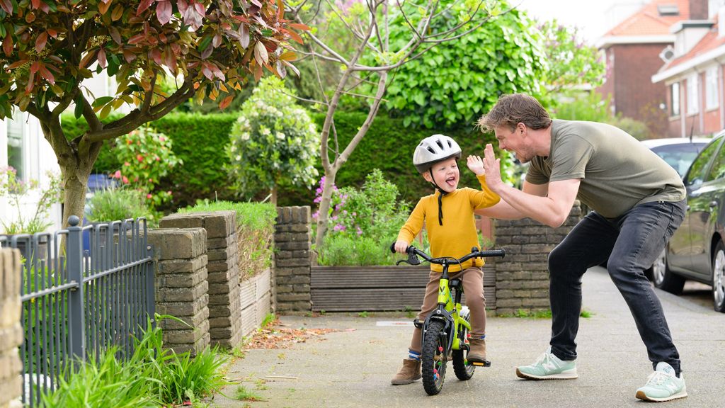 laat ieder huis uitkijken op een boom
