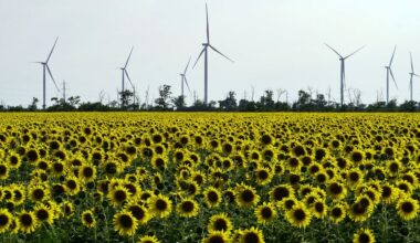 Opgeknapte windturbines uit Nederland moeten Oekraïne helpen aan broodnodige stroom