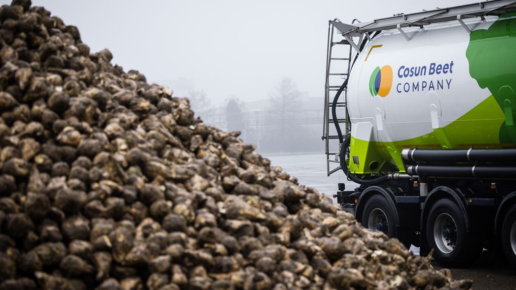 Landbouwgigant Cosun krijgt 73 miljoen subsidie om CO2-uitstoot te verlagen