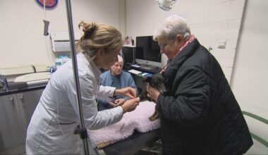 Baasje heeft veel over voor huisdier, moet beter worden beschermd tegen hoge kosten