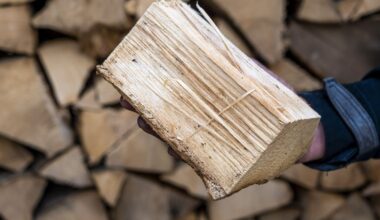 Amersfoort legt eerste boetes op voor houtstook tijdens verbod