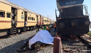 Zeven olifanten dood na botsing met passagierstrein in India