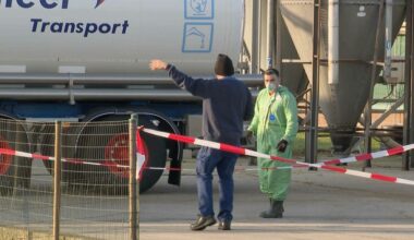 Vogelgriep bij pluimveebedrijf in Venray, 23.000 kalkoenen afgemaakt