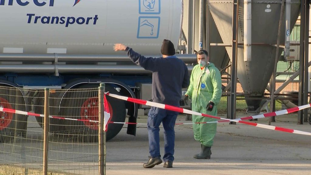 Vogelgriep bij pluimveebedrijf in Venray, 23.000 kalkoenen afgemaakt