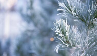 Welingelichte Kringen - Nieuws van overal: minder lezen, meer weten