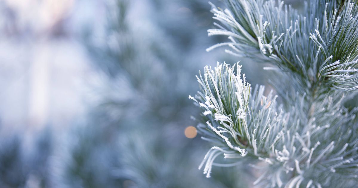 Welingelichte Kringen - Nieuws van overal: minder lezen, meer weten