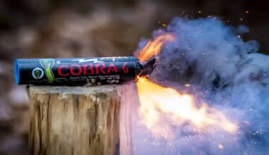 'Ze spelen met een handgranaat'