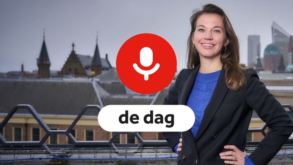 het jaar van politiek duider Marleen de Rooy