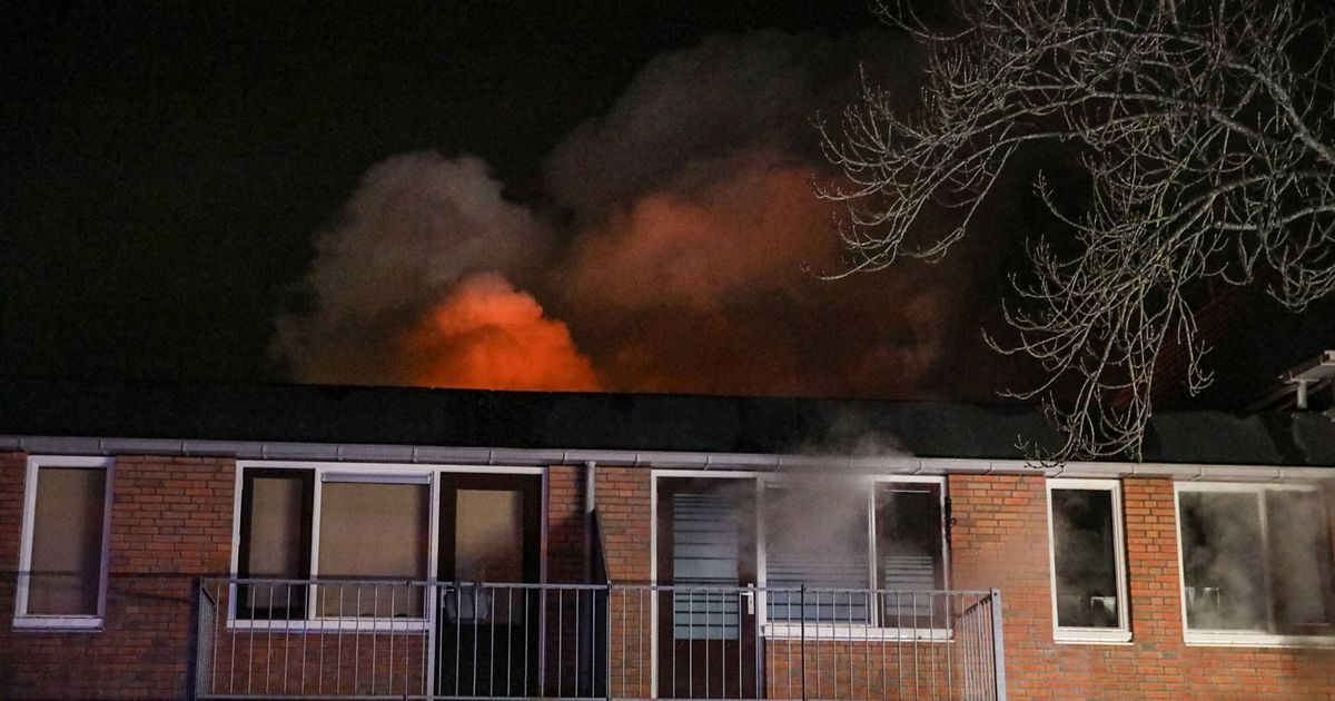 Brand in appartementencomplex in Winschoten snel onder controle: 'De schade is enorm'